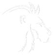 Lion Code logo